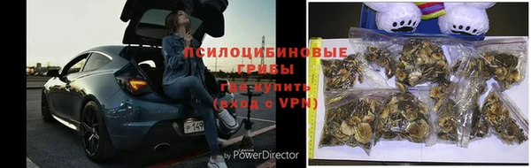 герыч Володарск