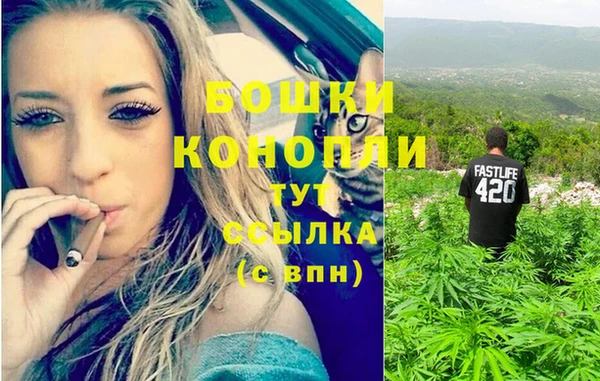 ГАЛЛЮЦИНОГЕННЫЕ ГРИБЫ Волоколамск
